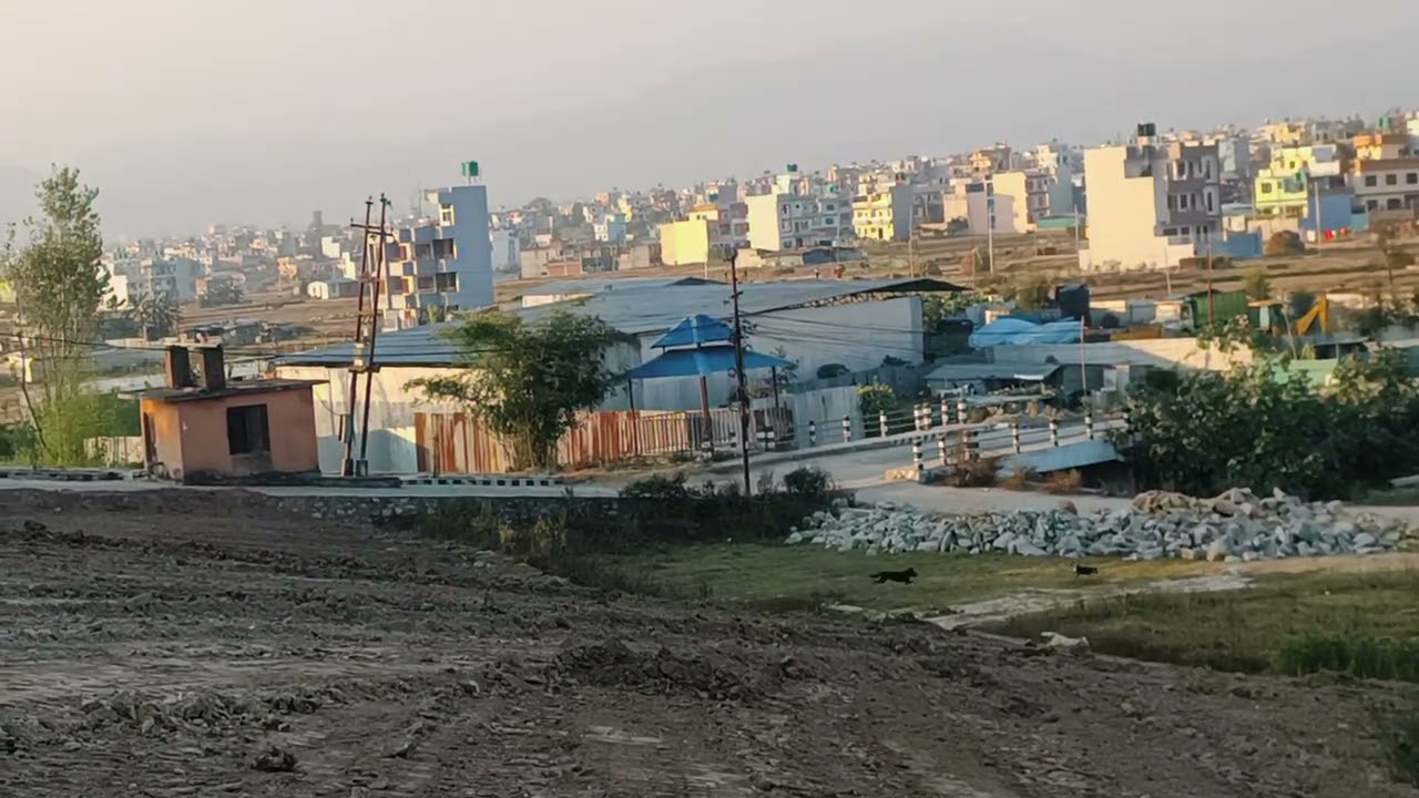 भक्तपुर सुर्य बिनायक नगर पालिका सिरुतार 1 मा हुँदै गरेको प्लतिङ्गका ।☎️9803878364 9745654786