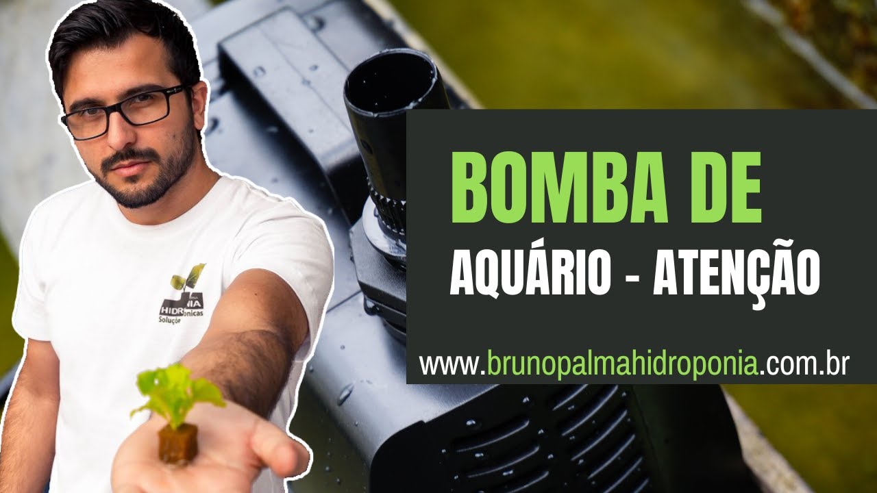 Bomba Submersa para Hidroponia: CUIDADO !!!