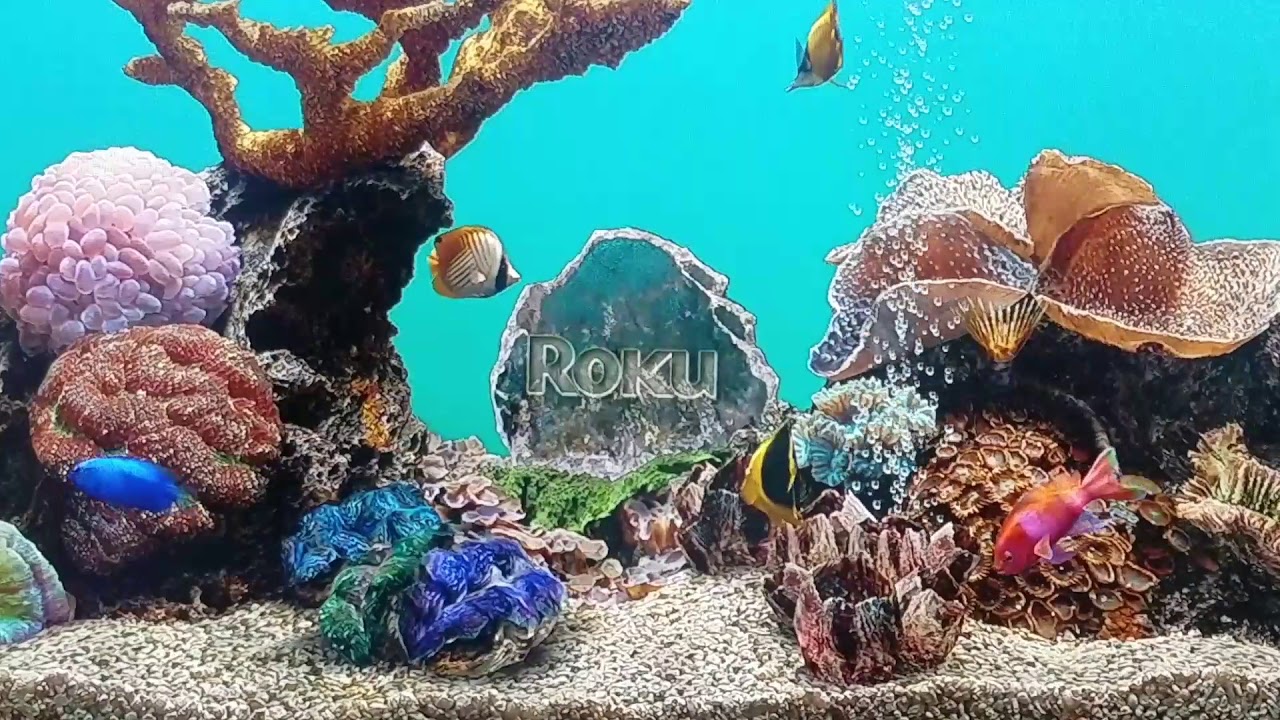 Aquarium SCREENSAVER fullscreen- ROKU TV