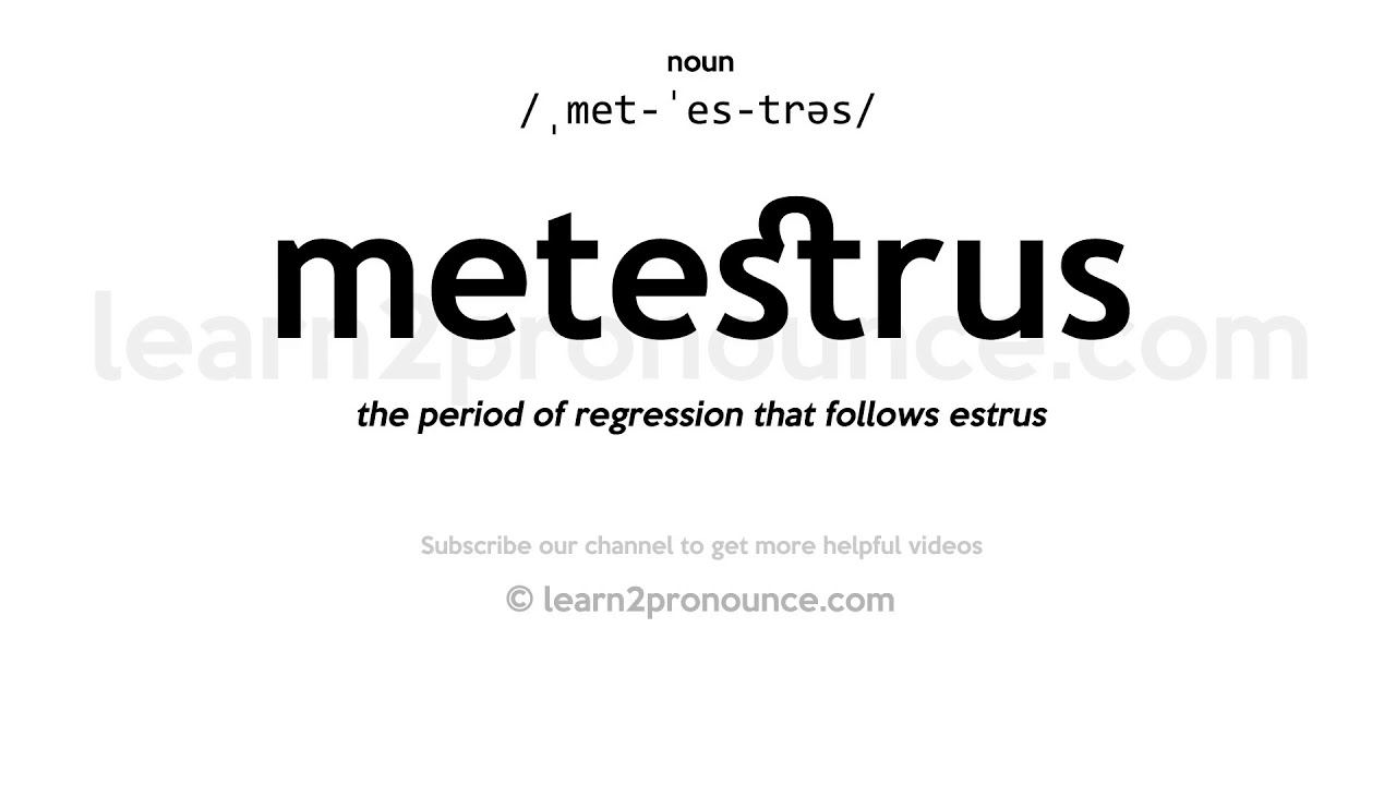 Wymowa Metestrus | Definicja Metestrus