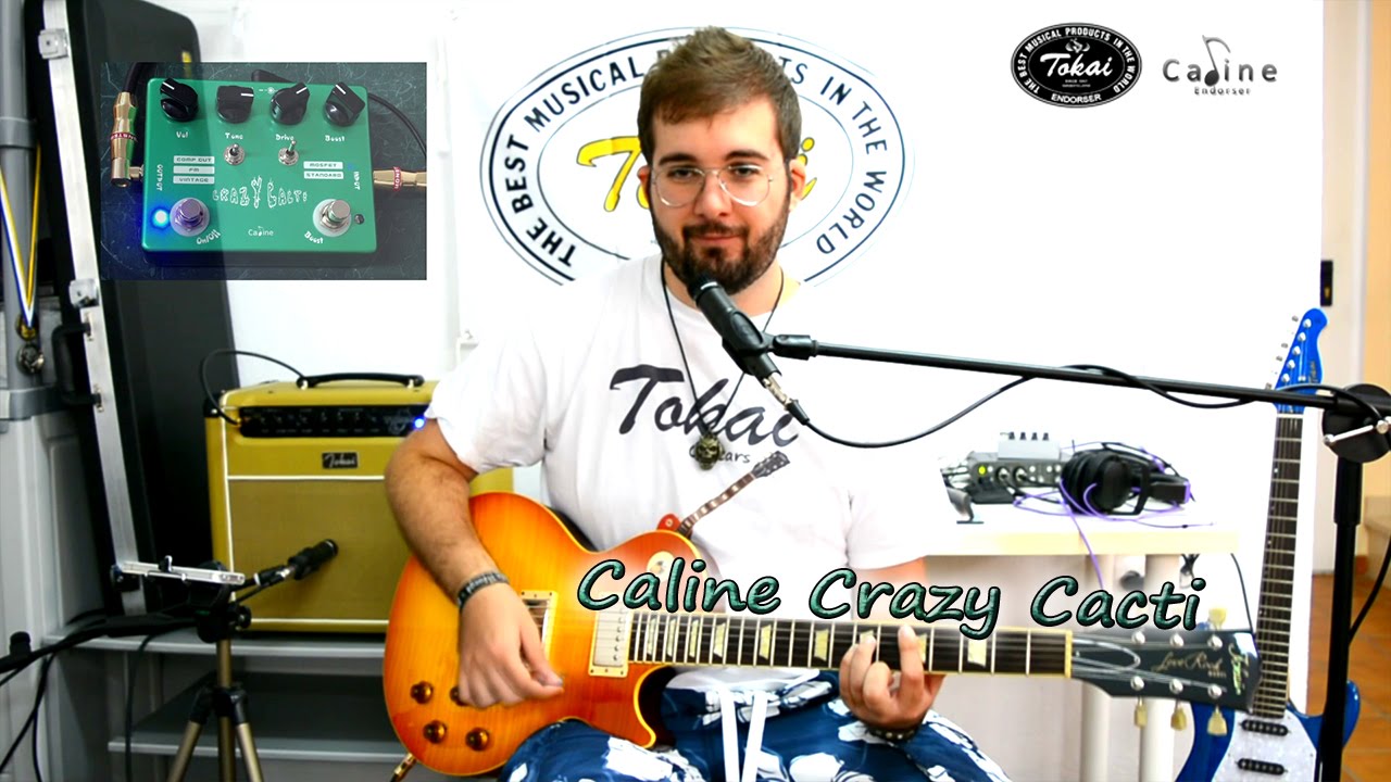 Caline Crazy Cacti | Review en Español