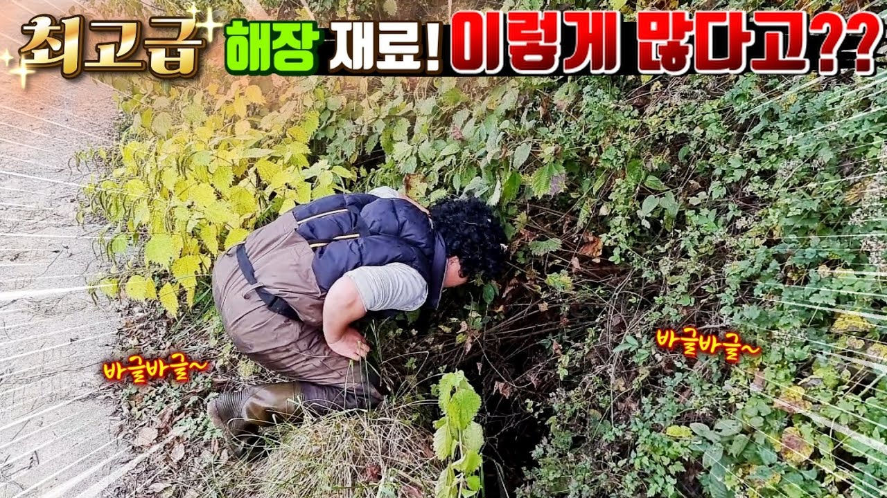 귀한 보물이 물보다 더 많다! 아직도 이런곳이 있다니!?
