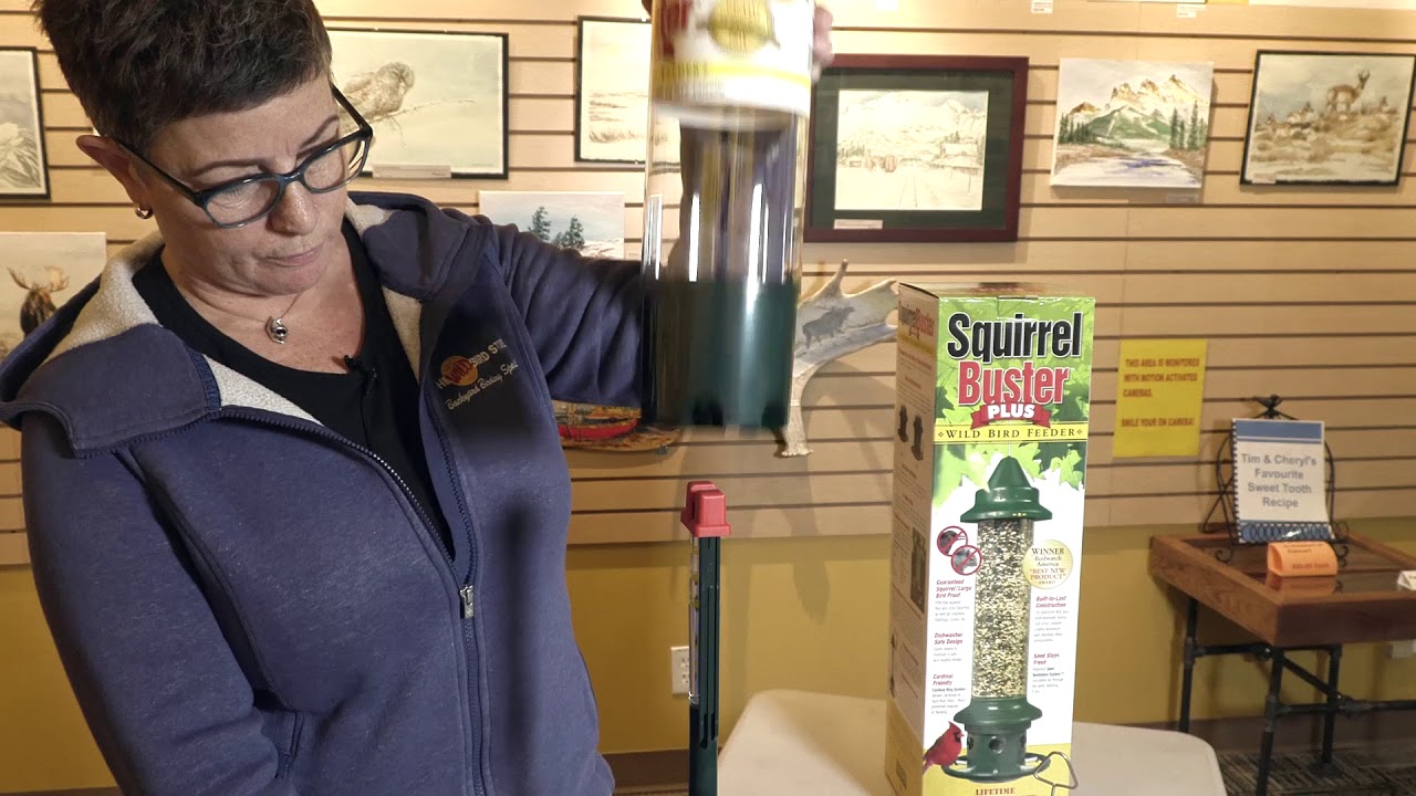 Squirrel Buster Plus Disassembly Instructions