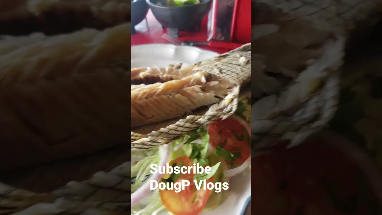 Eat Alligator Fish #shorts