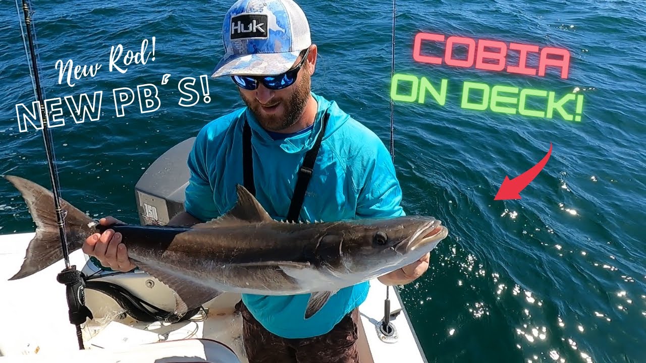 COBIA ON DECK!