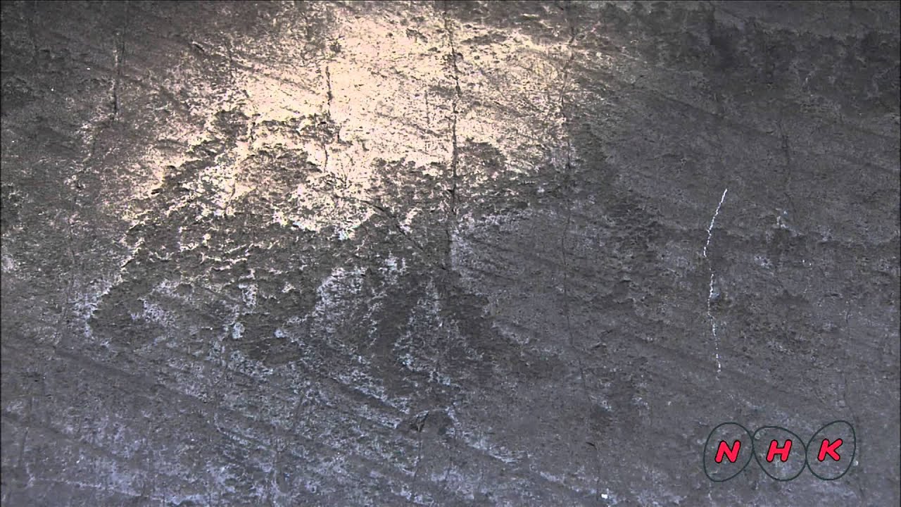 Rock Drawings in Valcamonica (UNESCO/NHK)