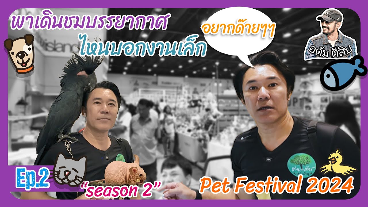 สวนสัตว์หลังบ้าน