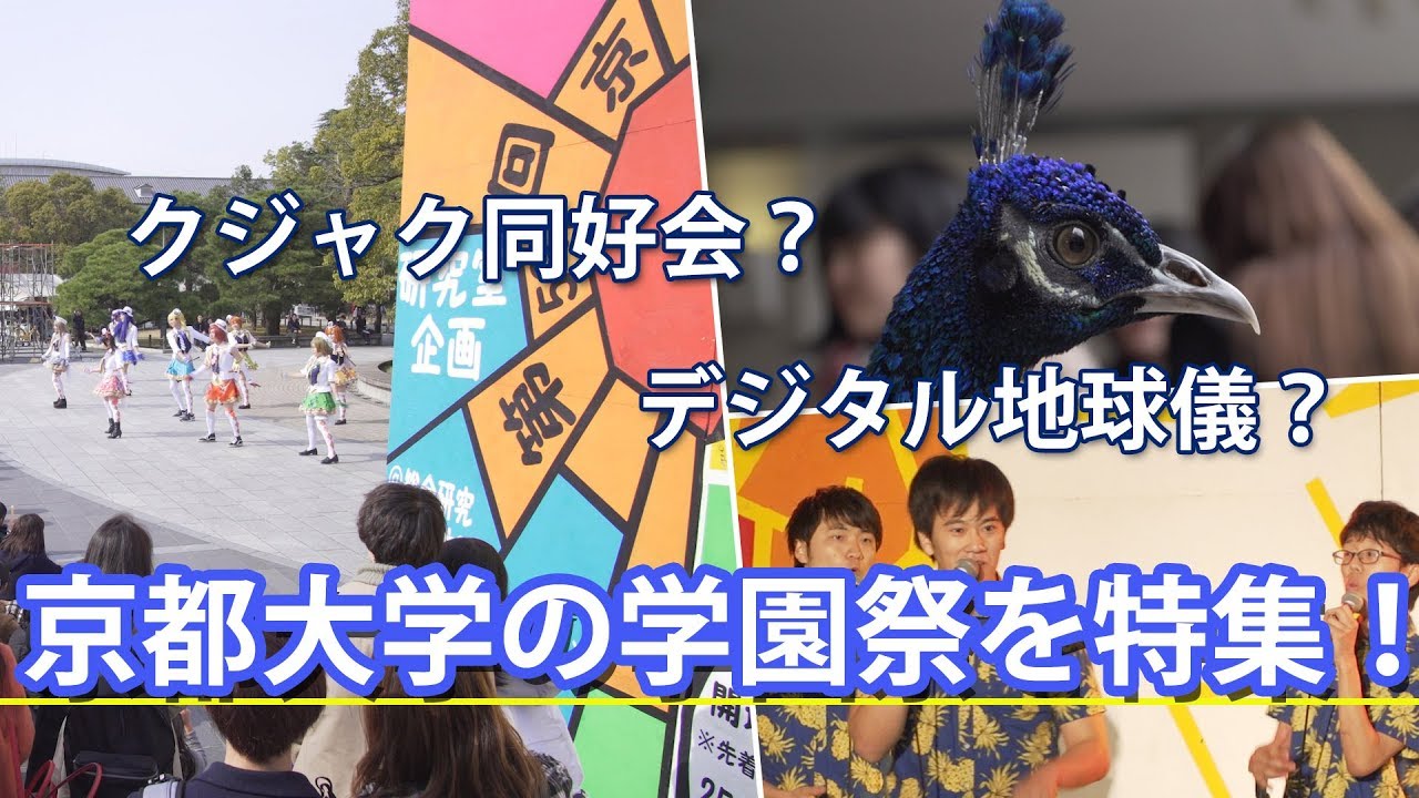 【京都大学】11月祭を３分で体感する動画【東進TV】