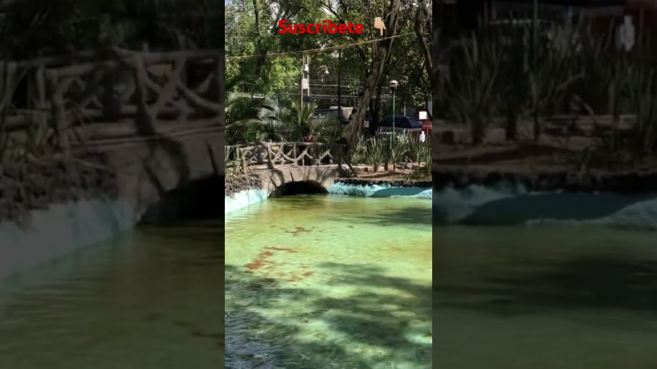 Parque Espa&ntilde;a, condesa Ciudad de M&eacute;xico 🇲🇽