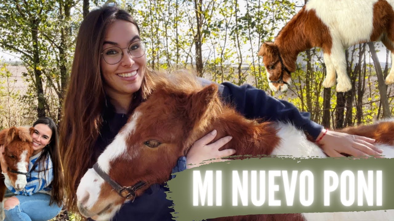 Mi nuevo PONI🤩✨ Don Duque de Llargués🦄