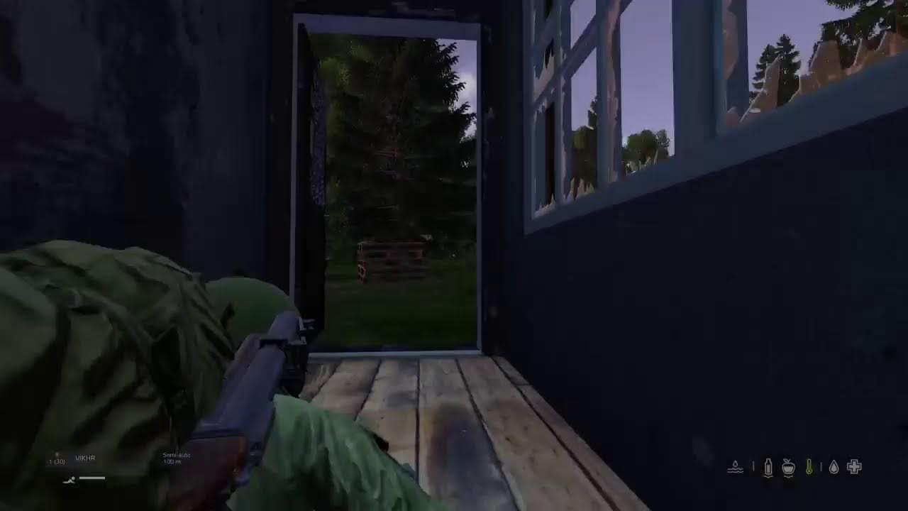 Dayz #15