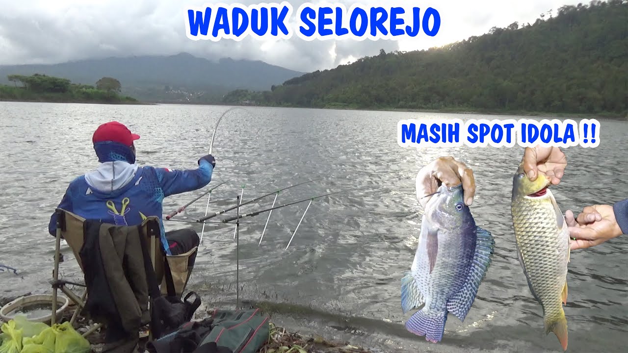 DISINI MASIH SPOT IDOLA !! Mancing Nila Waduk Selorejo Ngantang