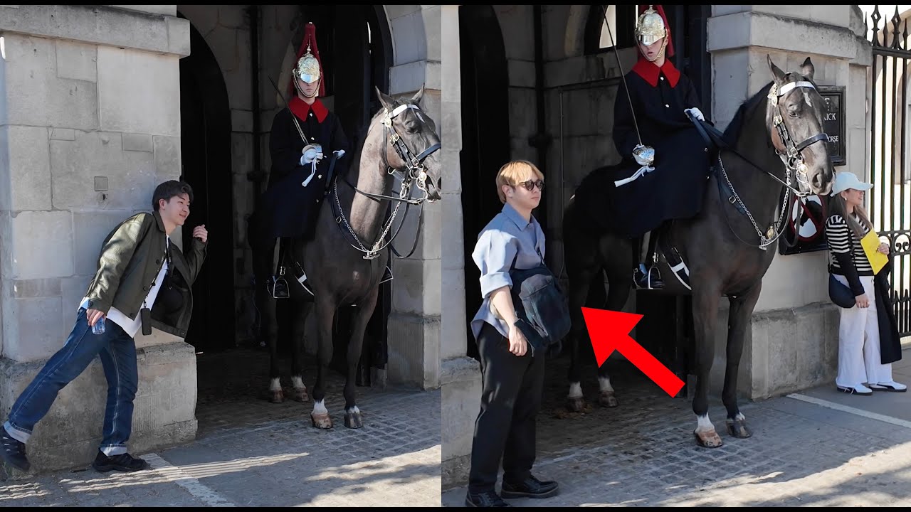 He decides to take steps CLOSER to the Horse. Guard instantly Reprimands Him OUT OF THE BOX.