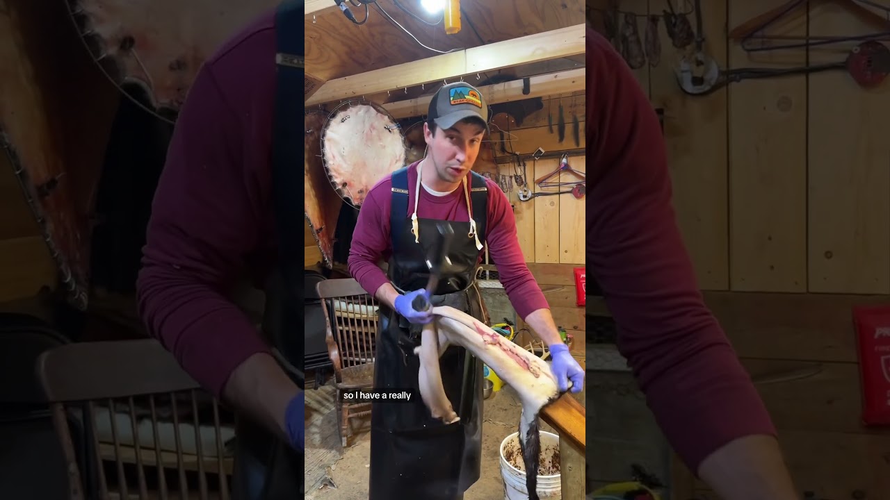 Otters can be tough to flesh, but they don&rsquo;t have to be! Check out our most recent how to video