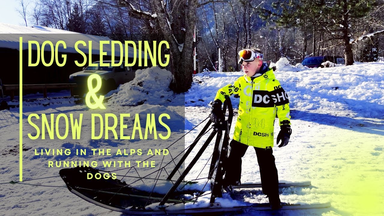 Dog Sledding in the Alps: A Winter Adventure: Episode 35