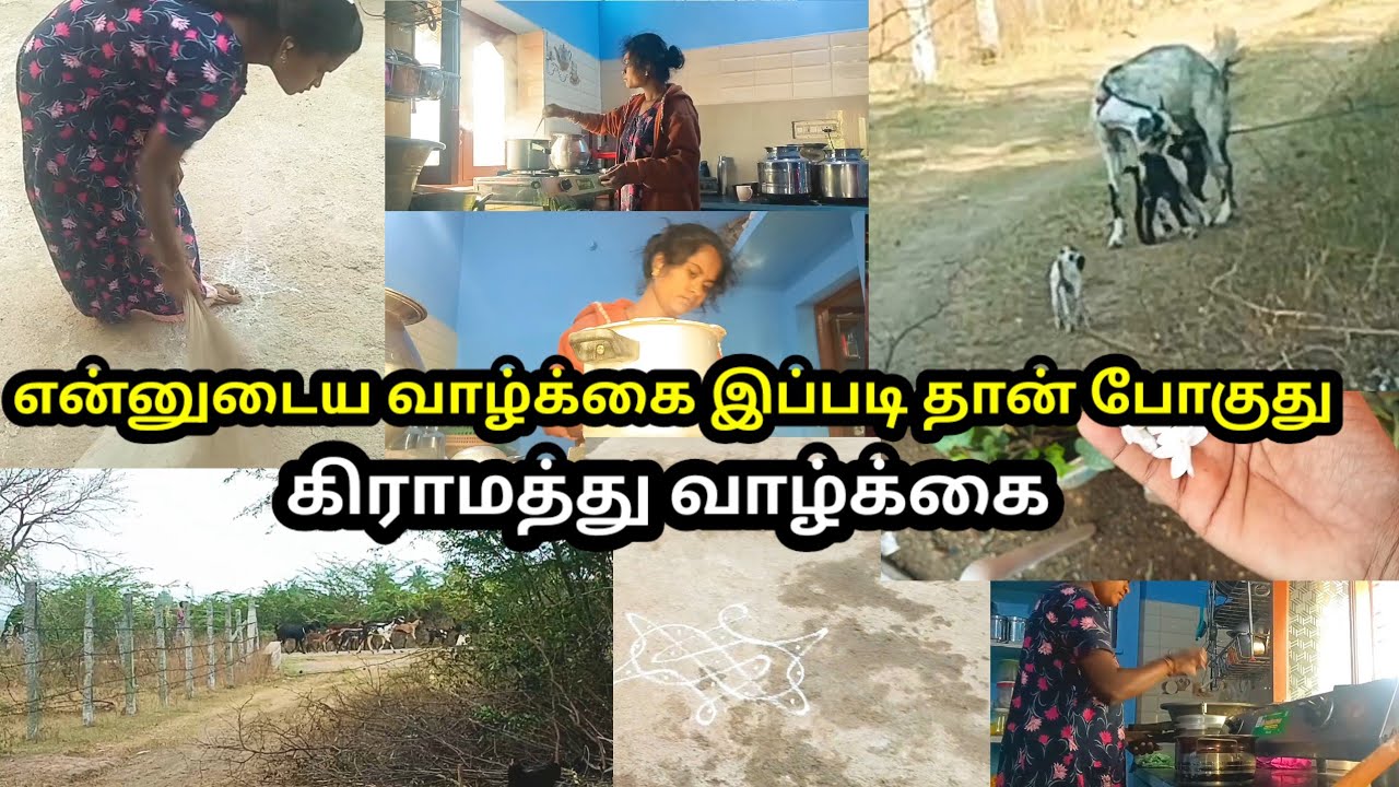 💫💖 என்னுடைய அழகான கிராமத்து வேலைகள்👩‍🍳 #கிராமத்துவாழ்க்கை #housewifelife #madhunishavlong #tamil 