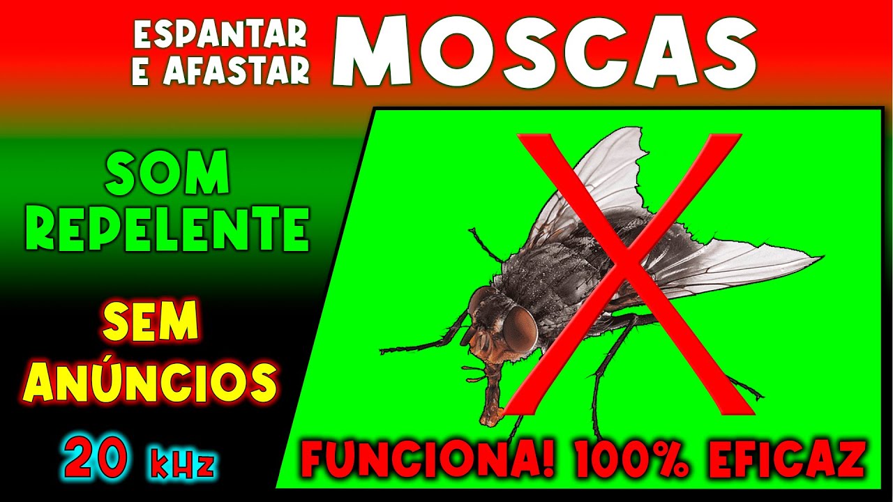 SOM PARA ESPANTAR MOSCAS 🚫🪰 REPELENTE DE INSETOS