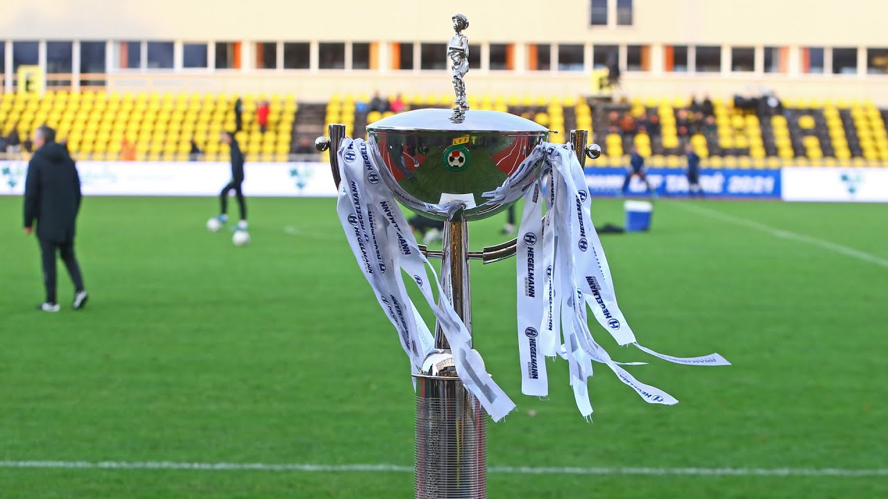 Hegelmann LFF taurės finalas: Vilniaus „Žalgiris“ - FK „Panevėžys“ / santrauka
