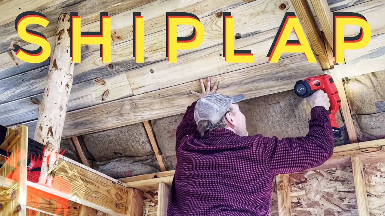 Installing Blue Pine Shiplap on the Ceiling of an Off Grid Cabin
