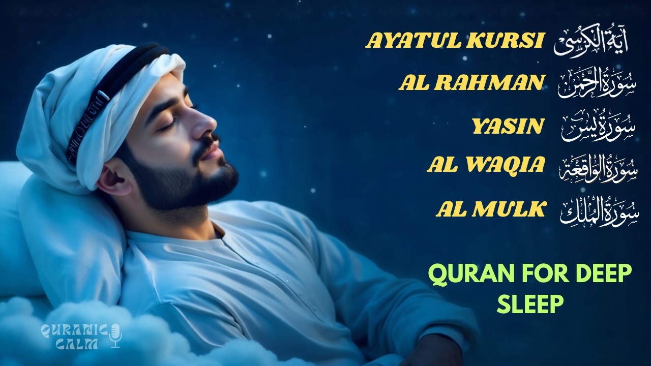 Fall Asleep with Quran 🌙  Calm & Peaceful Tilawat. Surah Rahman, Yaseen, Mulk, Waqiah, By Alaa Aqel.