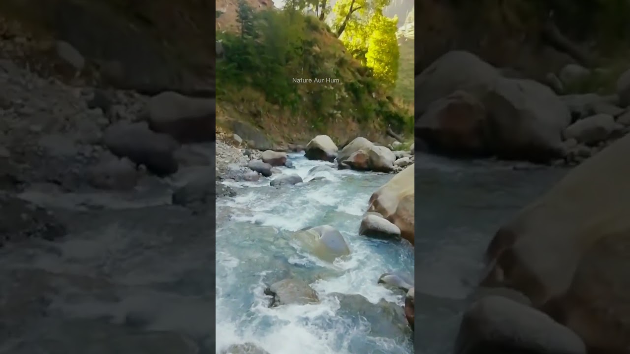 Jeep Track || Crossing over a Wooden Bridge || Baboon Valley Kashmir