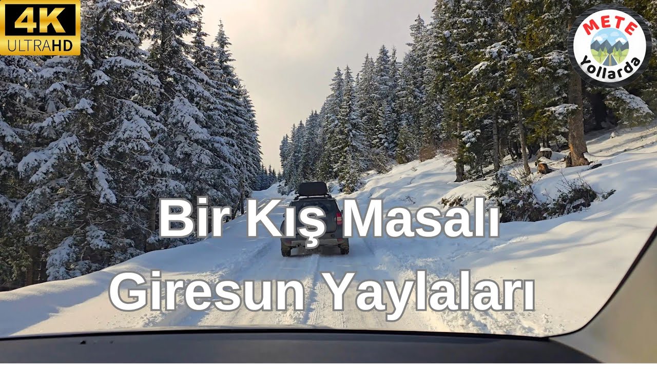 Kış Ortasında ❄️Giresun Kulakkaya Yaylası (4K)