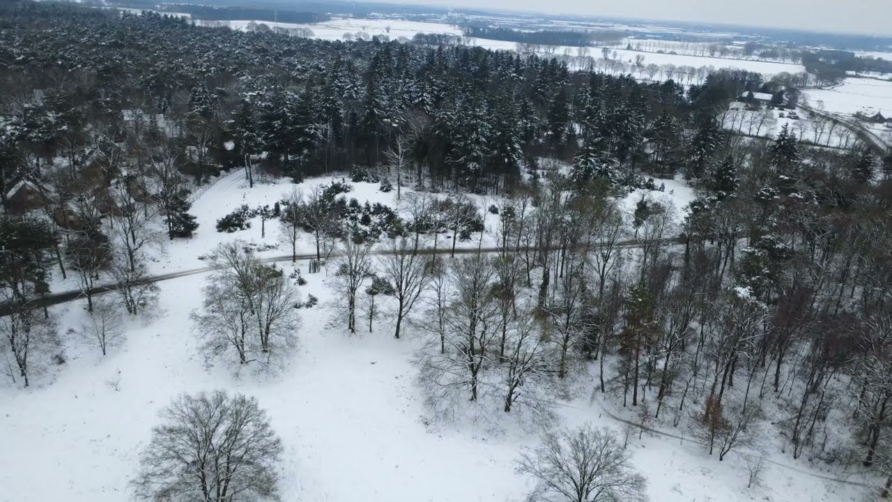 Overloonse duinen onder een witte sneeuwdeken