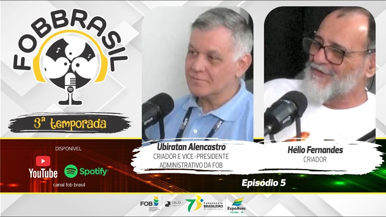 Já conhece os novos canários de Cor e Porte?
