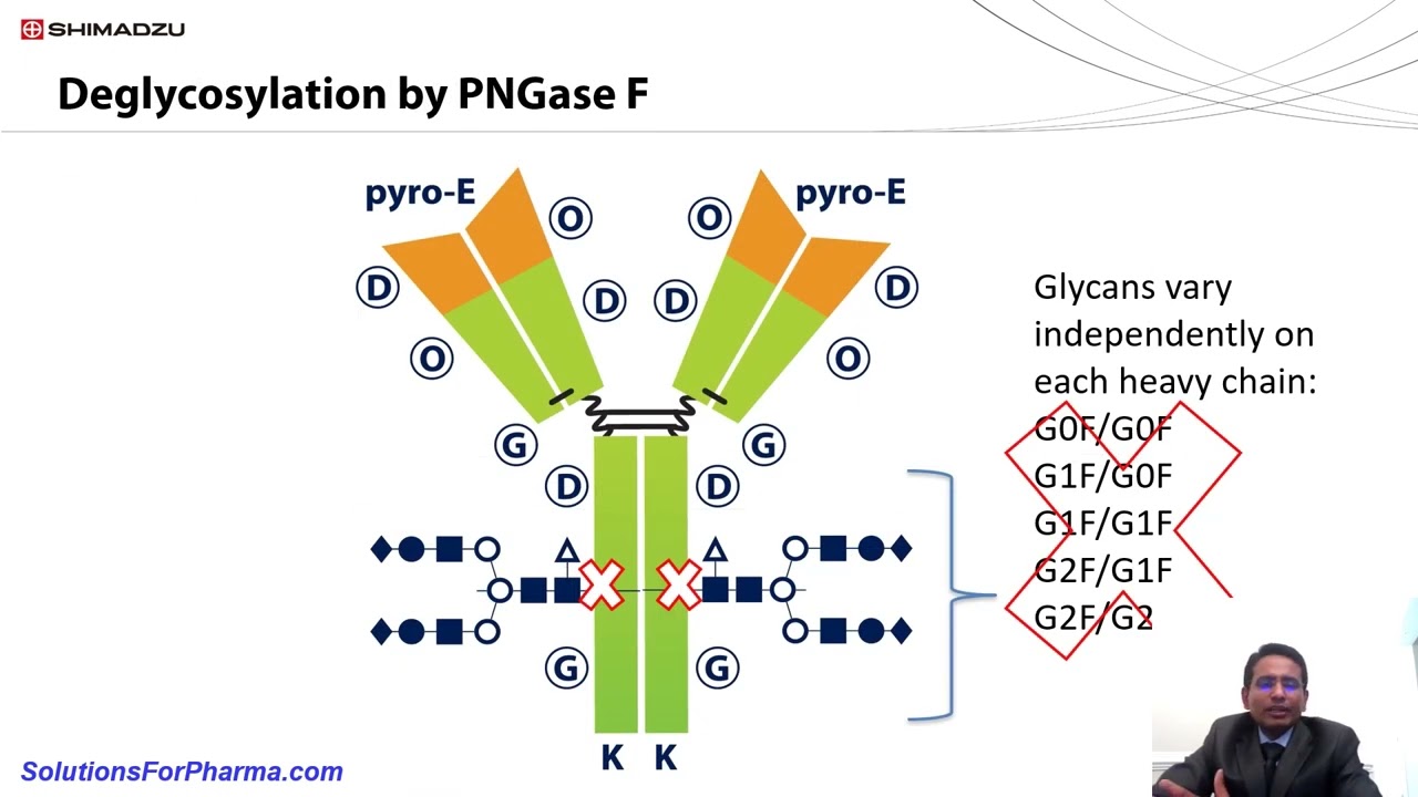JAIMA Pittcon 2022 Symposium: Analysis of Monoclonal Antibody (mAb) and Related Biologics by LC ...