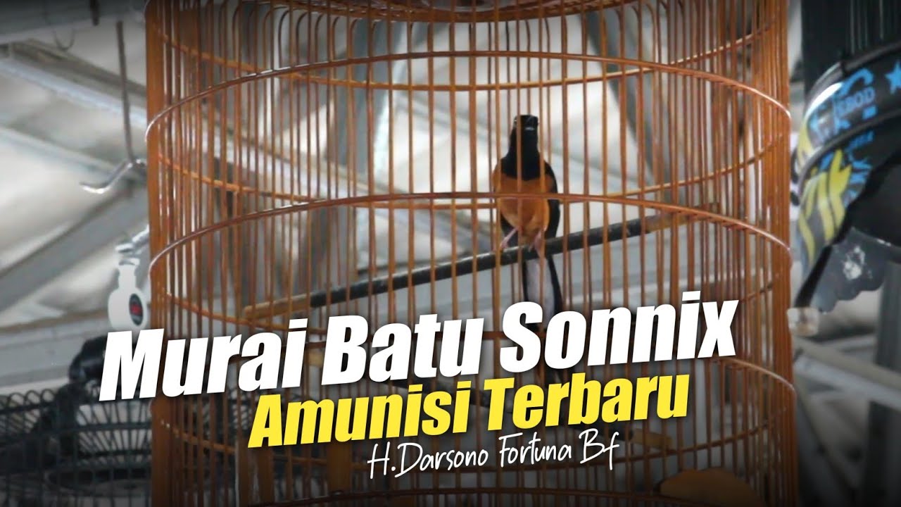 Mengerikan !! Amunisi Terbaru Fortuna Bf Banjarnegara - Kapolres cup Banjarnegara