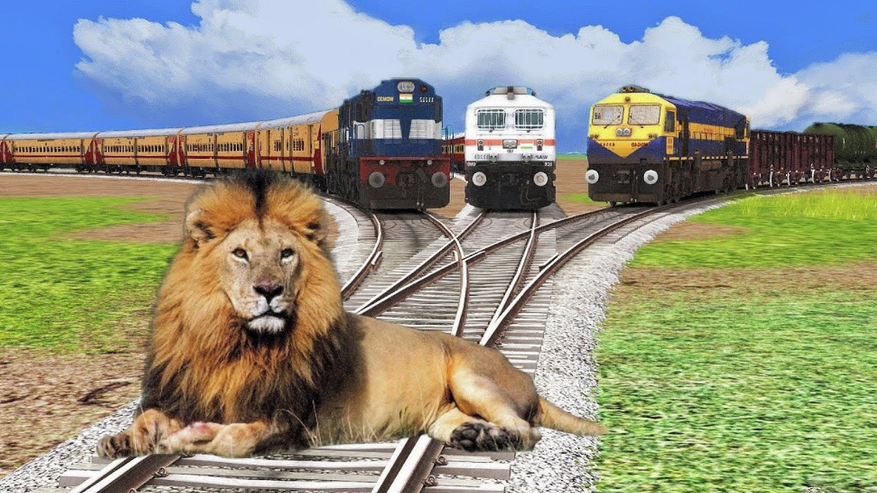 Three Trains vs Lions | Stops the Train – Train Simulator