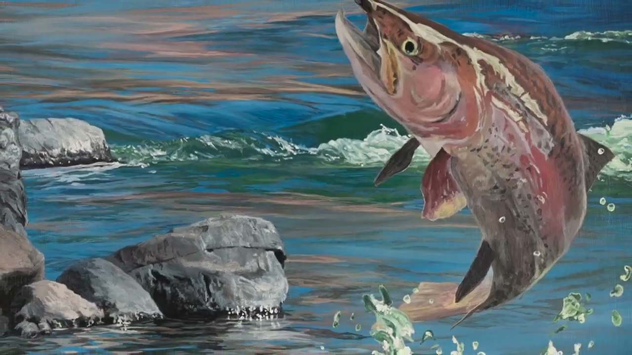 Timelapse: Wildlife | Rainbow trout | Fire River II