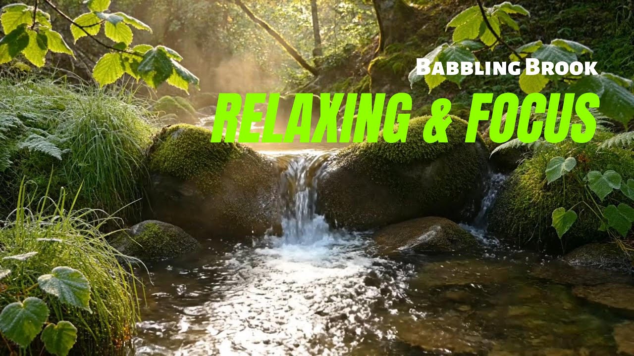 Small Waterfall in the Evening 🌄🌿  Babbling Brook ASMR for Relaxation & Focus