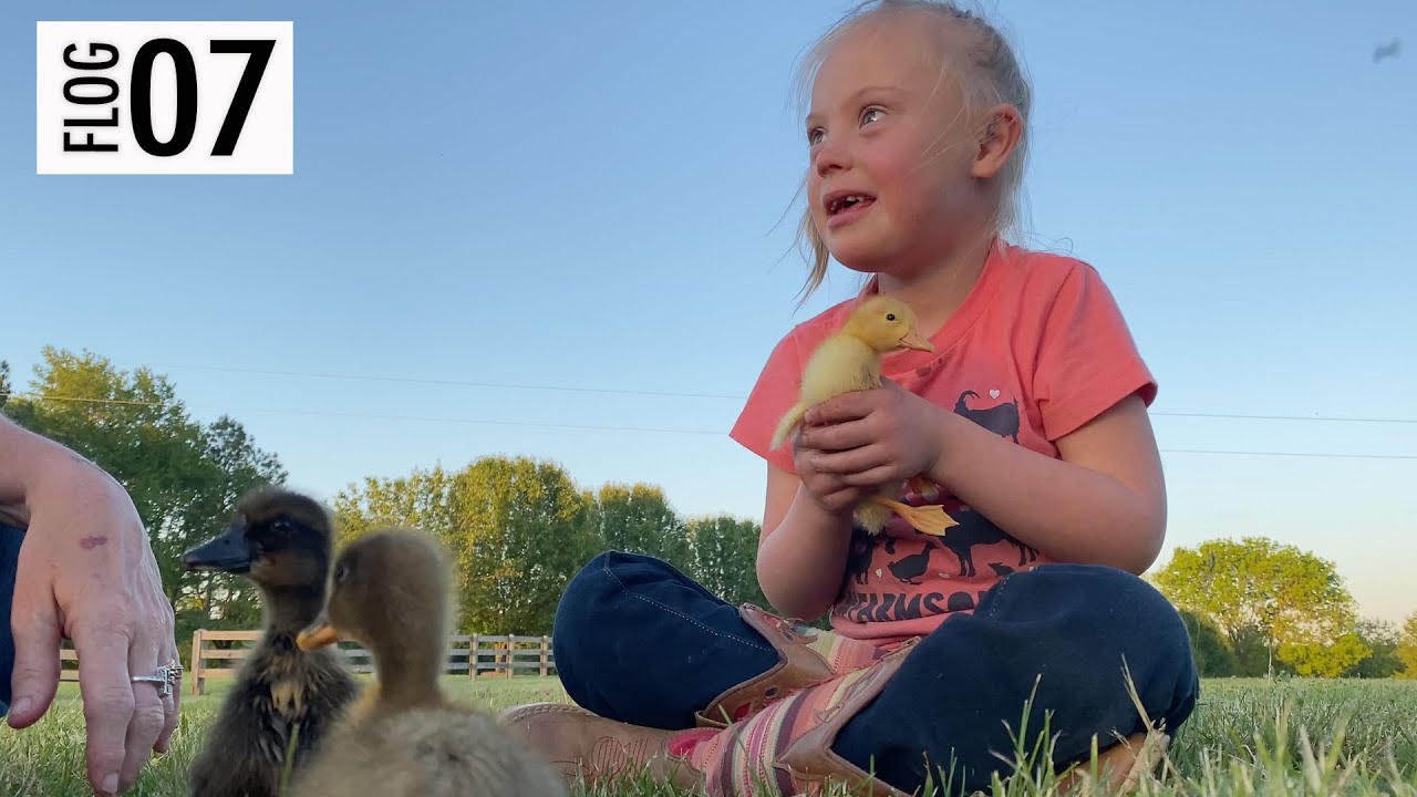 SATURDAY on the FARM