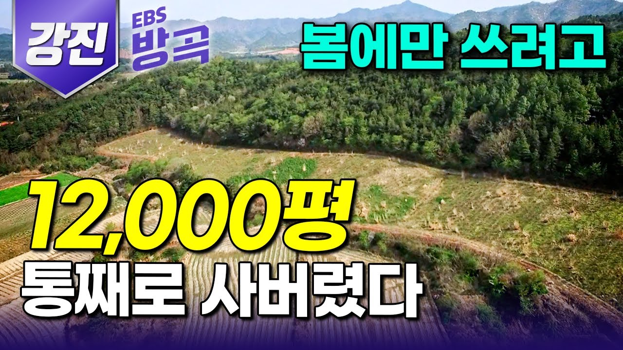 [전남 강진] 