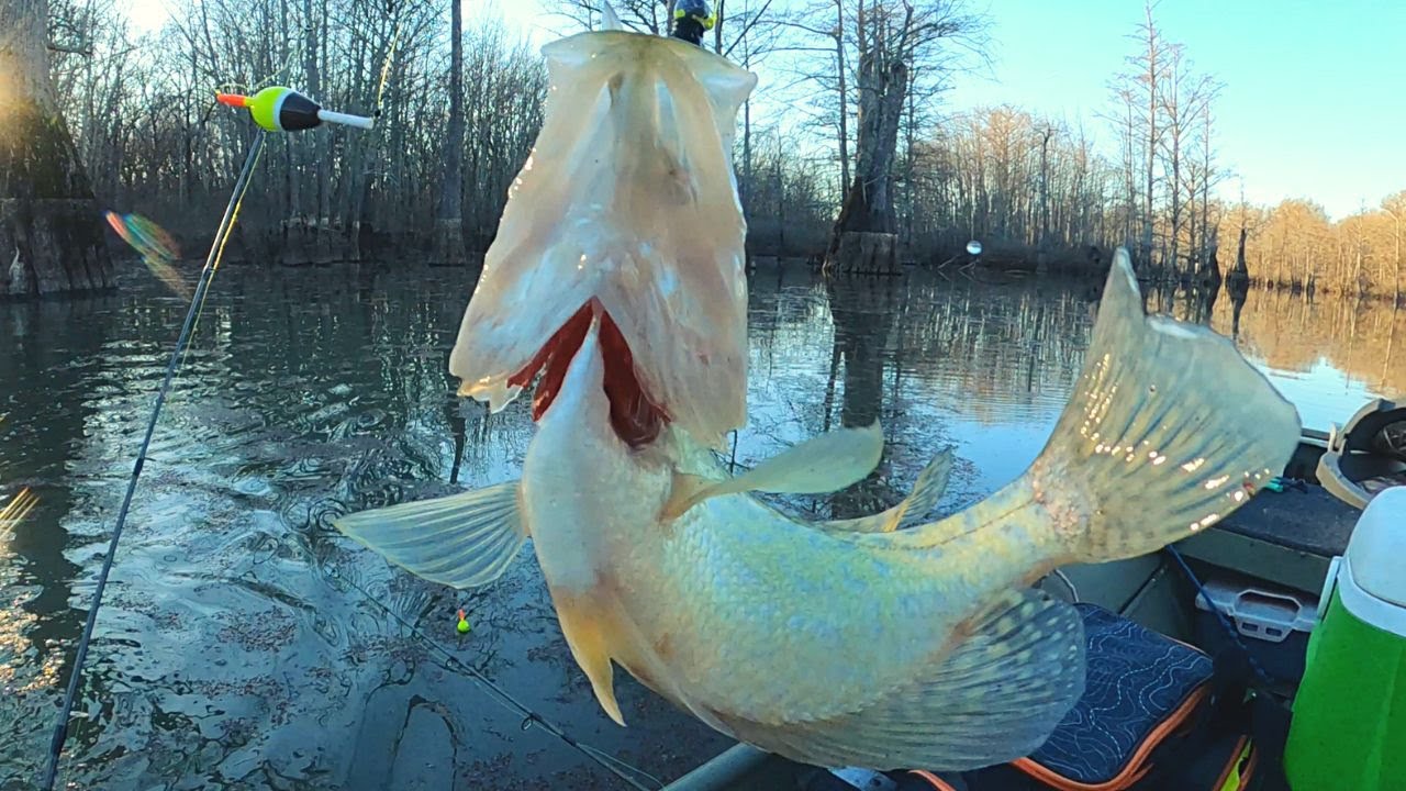 Crappie fishing in January with a jig, live minnow and slip bobber