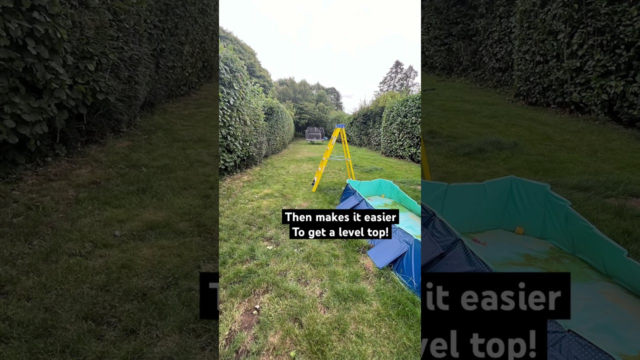 Hedge Cutting😱😆 #hedgecutting #hedges #hedgetrimming #hedgetrimmer #garden #topiary #gardening