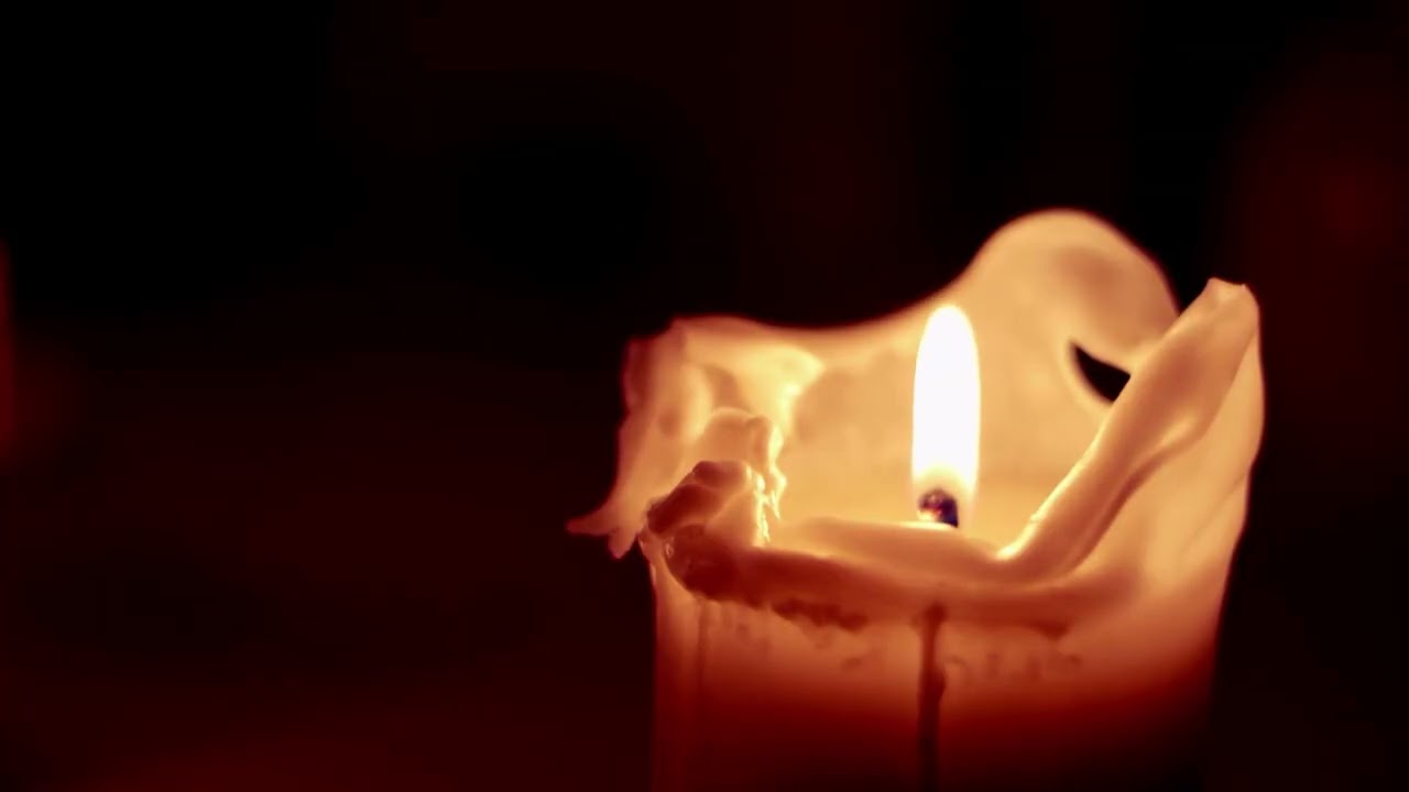 1 Hour Meditation Music 🌿 Relax Mind & Body | Calm Ambient Music for Stress Relief | Mind & Body