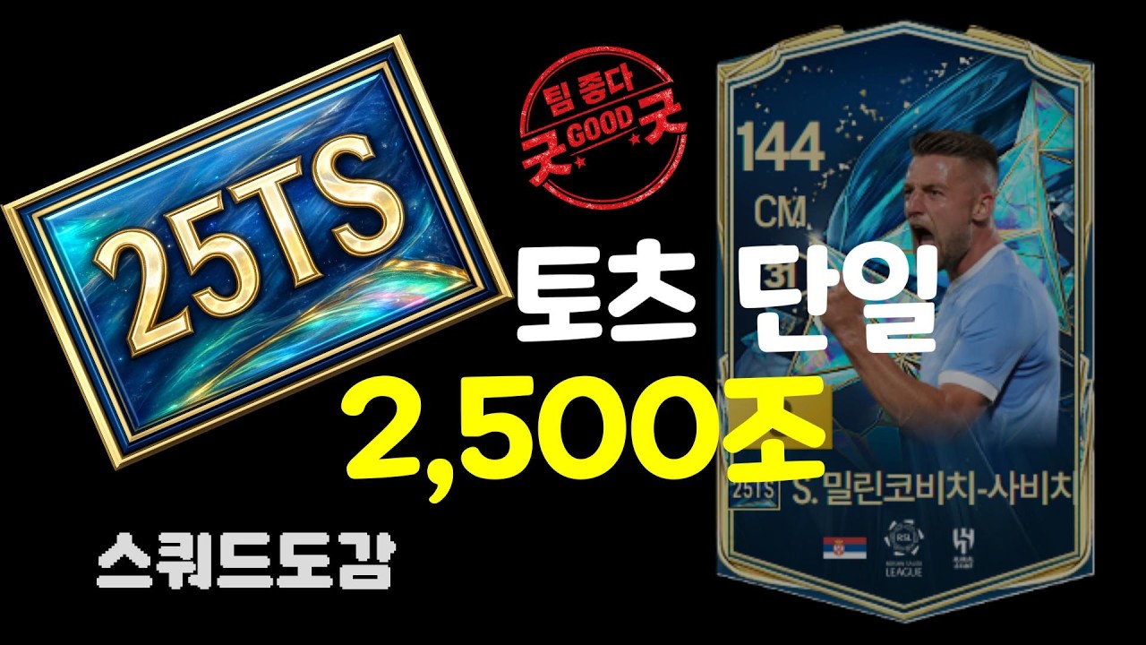 FC온라인  2,500조 25토츠 단일ㅣ스쿼드도감