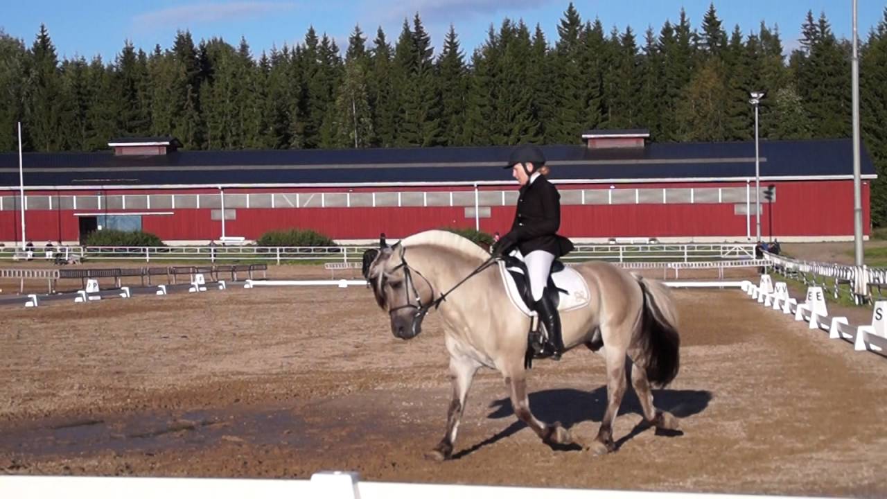 Helppo B Lasten esiohjelma A