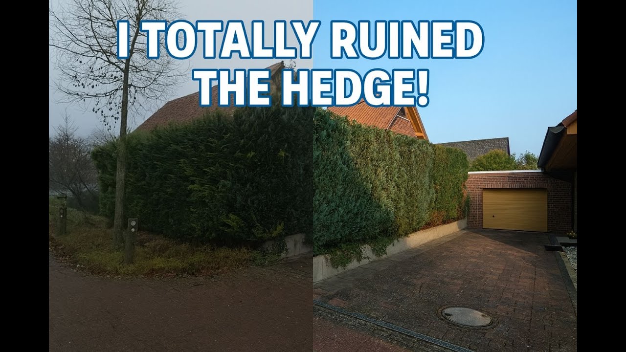 I DESTROYED THE HEDGE, THE GERMAN GARDENER #gardener #gardening #hedgecutting #hedgetrimming