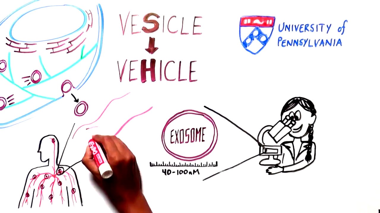 Exosome video