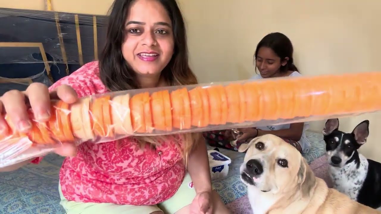 Aaj Mai ban gai 😂ice cream 🍦🍧 bechne wali  sabne khai ice cream 🍦🐶🐕🌸❤️🌺🐾💕😁