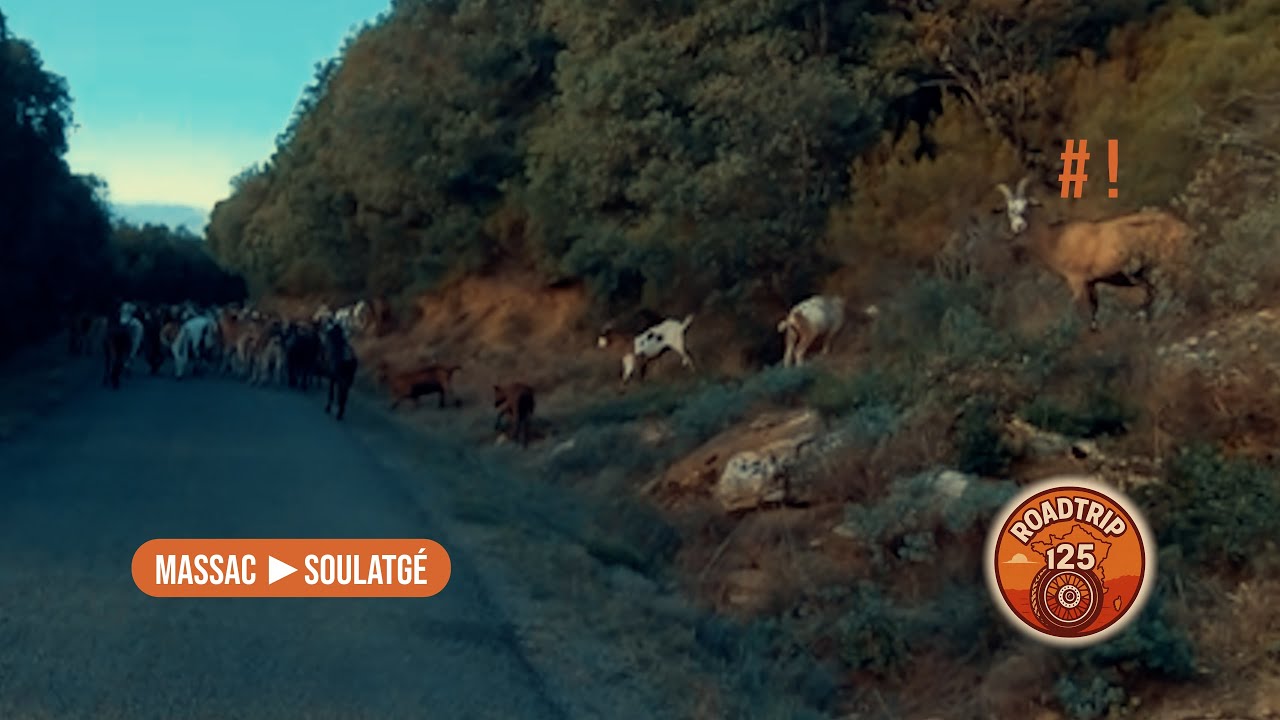 Massac ► Soulatgé | Zontes Scrambler X 125