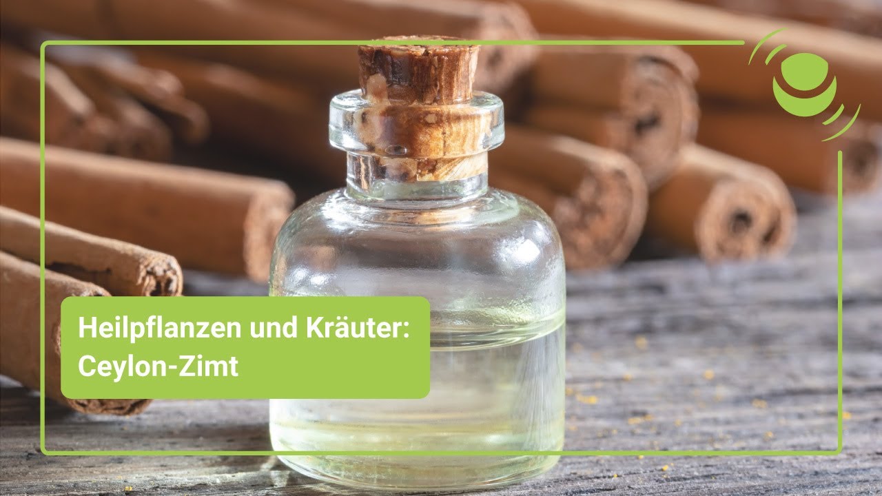Ceylon-Zimt – Alles, was du über seine Wirkung wissen solltest.