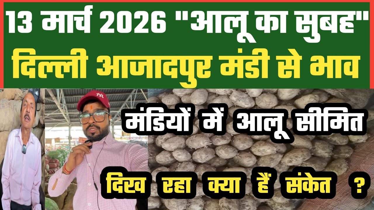 मंडी में आलू सीमित पहुंच रहा ? 🤔 Azadpur Delhi Mandi Today में 13-03-2026 के Potato Price DMT TV