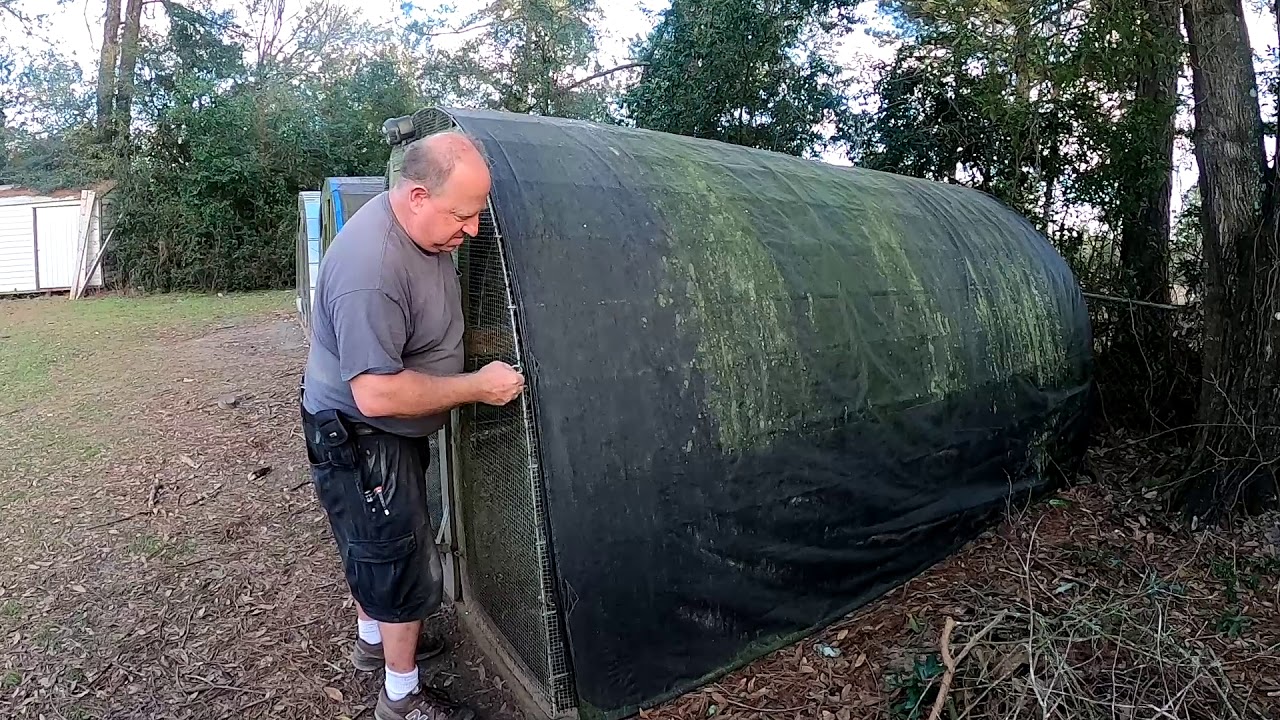 THE BEST TARPS FOR YOUR HOOP CHICKEN COOP!🐔👨‍🌾