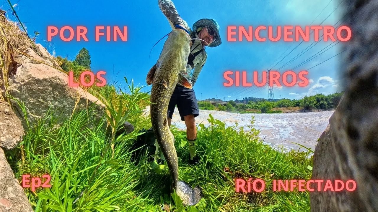 EP2: DICEN QUE ESTÁ LLENO DE SILUROS ESTE RÍO