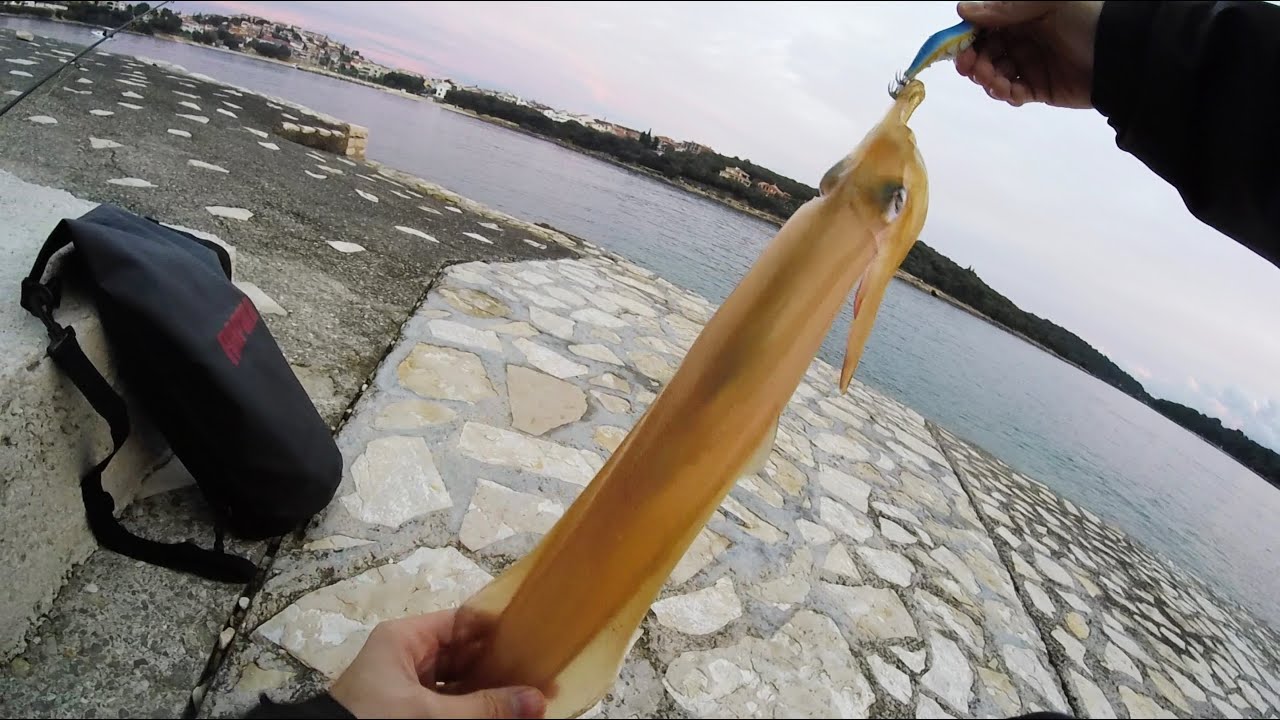 EGING ai CEFALOPODI - CALAMARO BIG DI FINE DICEMBRE