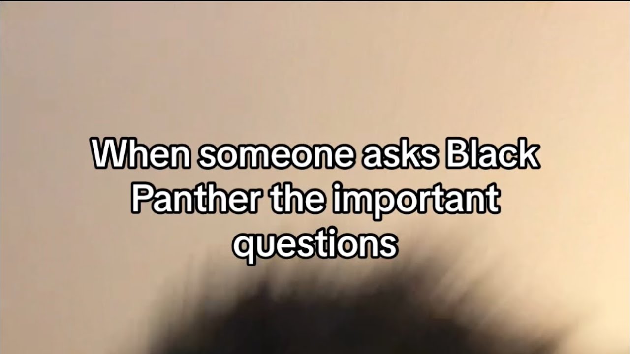 When someone asks Black Panther the important questions
